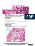 Resumen - Guias de Embriologia Unlp - Citologia Histologia y Embriologia - Medicina UNLP - Filadd