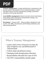Treasury Management Audit Program