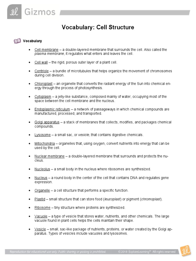 Cell Structure Vocab | PDF