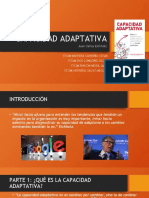 Capacidad Adaptativa