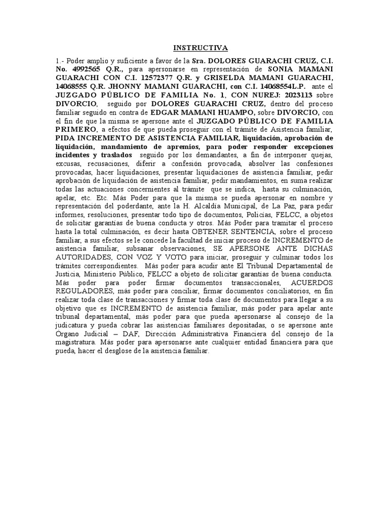 instructiva-de-asistencia-familiar-pdf-divorcio-ley-p-blica