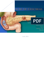 PDF Cancer de Pancreas