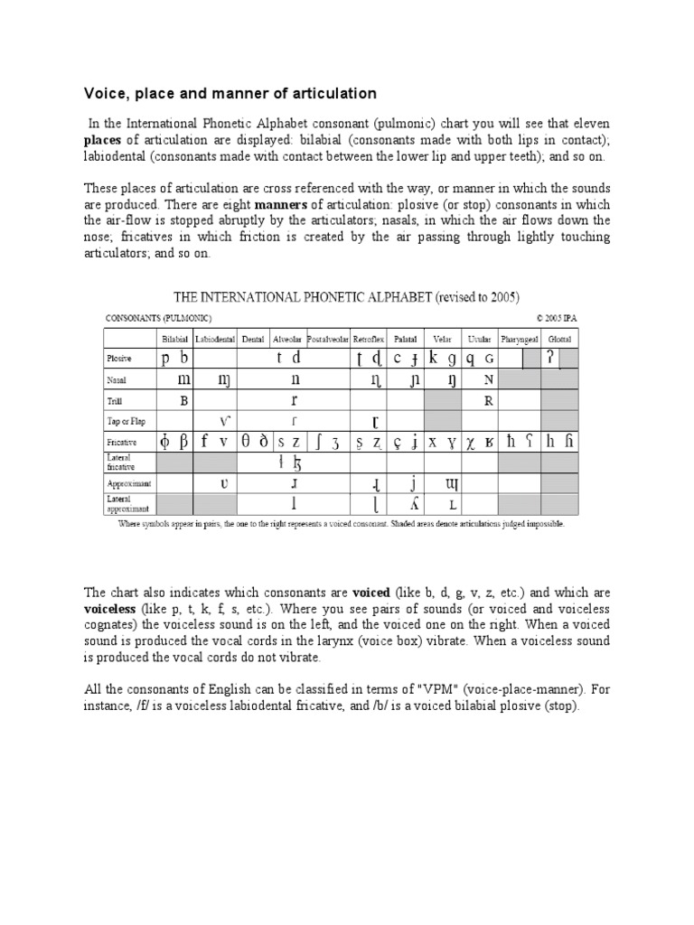 Phonetic N Phonology Phonology Sound Production