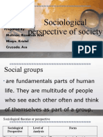 Sociological Perspective of Socitey