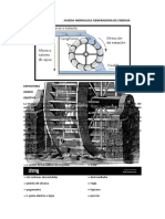 Proyecto de Ciencias Valeska Bernal Cristobal