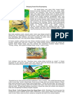 Dongeng Semut Dan Kepompong PDF Free