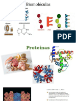 7 Biomoléculas Proteínas