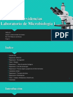 Portafolio U1