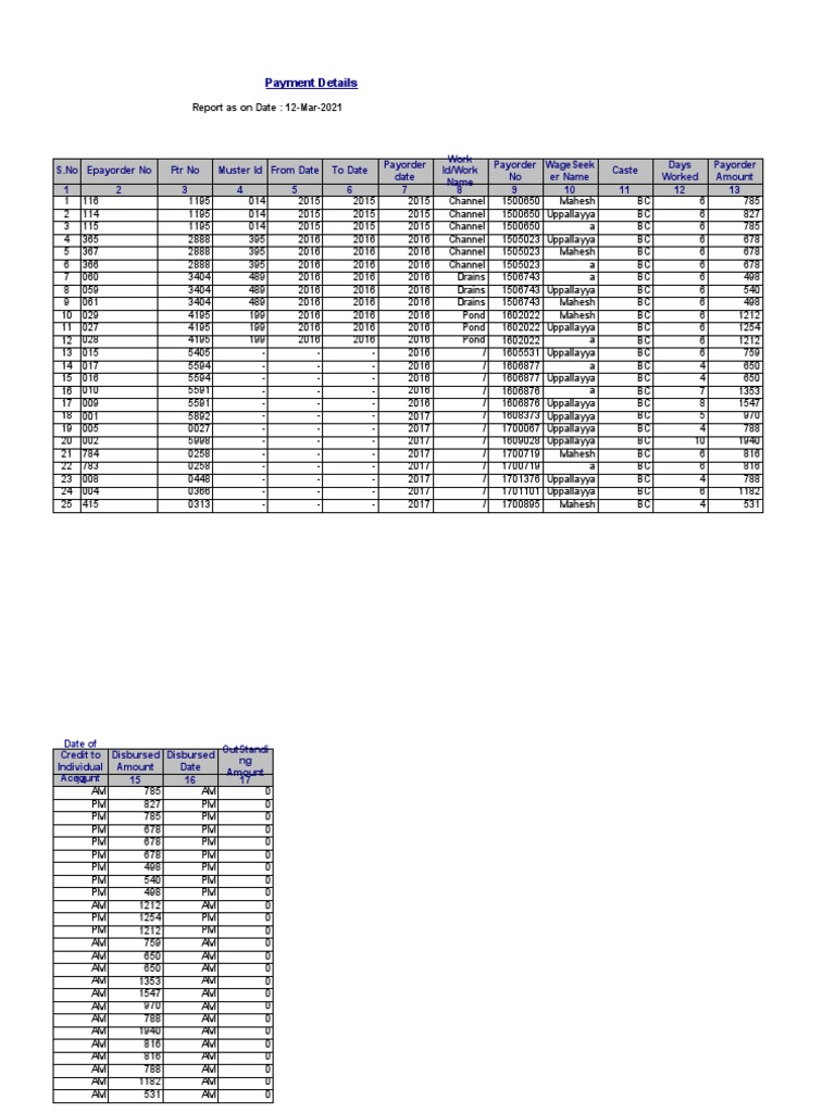 Excel Report | PDF
