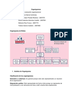 Análisis de Organigrama