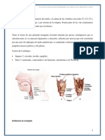 Plan de Cuidados de Enfermeria en Niños Con Laringitis