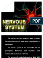 21. Nervous System