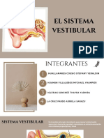 SISTEMA VESTIBULAR 