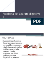 Fisiologia Del Aparato Digestivo II
