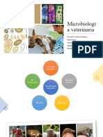 Introduccion Microbiologia Veterinaria