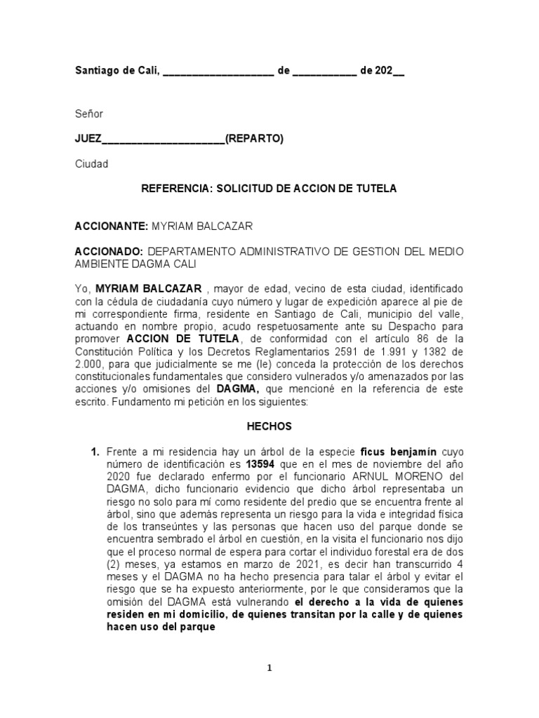 formato-de-tutela-pdf-gobierno-justicia