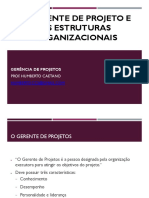 Aula04 - O Gerente de Projetos e as Estruturas Organizacionais