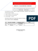 Cargo de Entrega de Distintivo de Identificación Del Sup. SST, RM-245-2021-TR