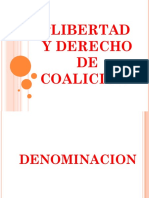 LIBERTAD Y DERCHO DE COALICION