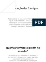 Reprodução das formigas