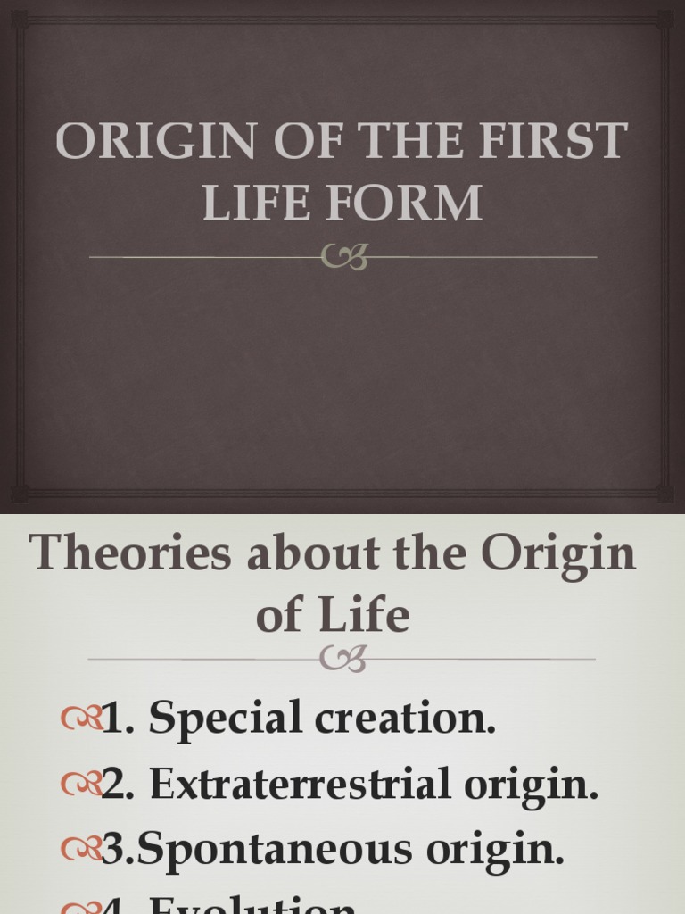 Theories on Life's Origin | PDF | Young Adult