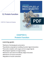 Lehninger Ch5 ProteinFunction