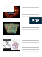 Hiesinger Vertiefung Entwicklung2 Handout