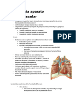 Morfología Aparato Cardiovascular