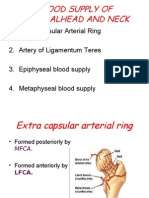 Blood Supply of Femoral Head and Neck