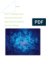 Types of Pathogens Document