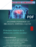 Patologia Del Corazon