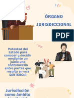 Organo Jurisdiccional