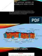 Membrane and Function