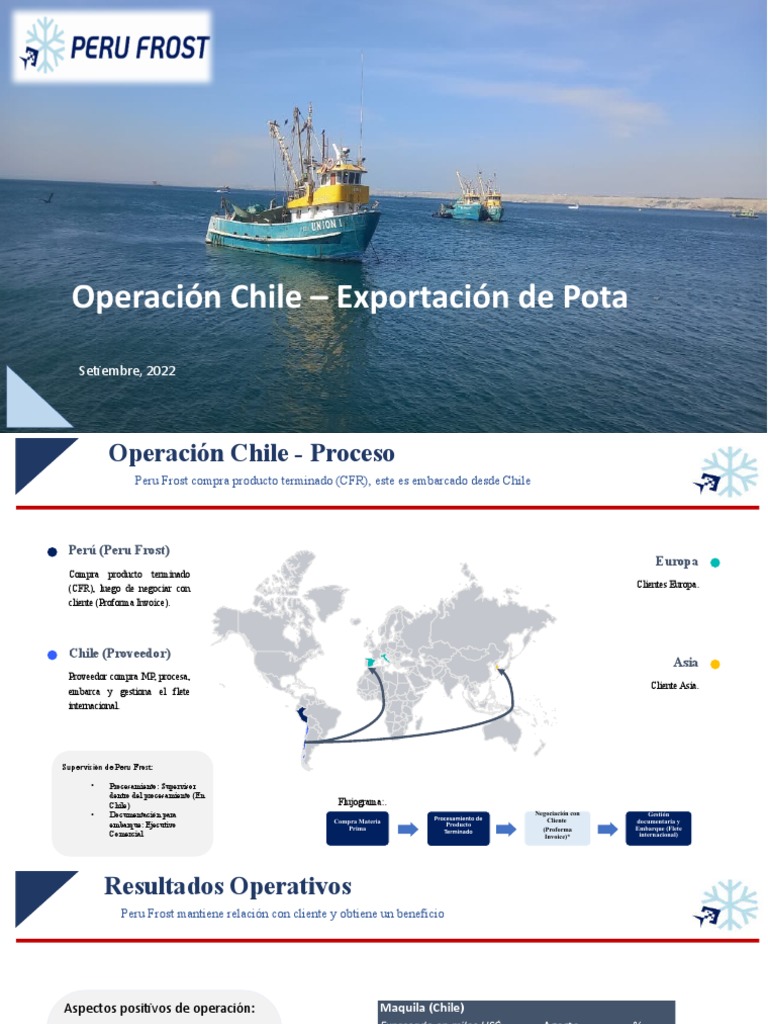 Exportación de Pota desde Chile | PDF | Procesos de negocio | Economias