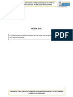 R. Rapport DEF PDF
