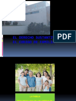 Familia 1 - Sustantivo