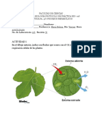 Actividades Lab Biologia