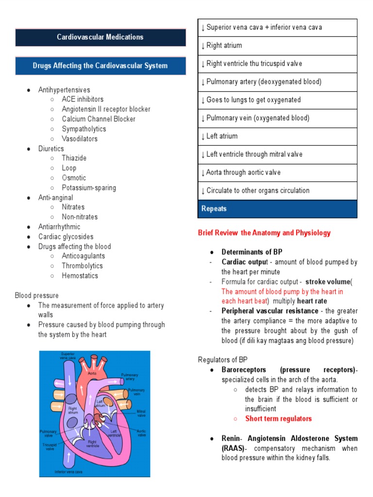 Cardiovascular Medications Overview | PDF | Angiotensin | Heart