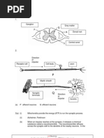 Coordination & Response Question