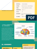 COMO APRENDE EL CEREBRO