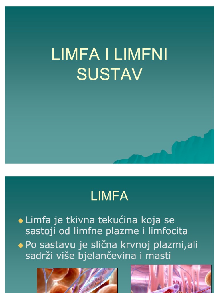Limfa I Limfni Sustav | PDF