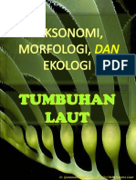 Filogenik-Taksonomi-Ekologi