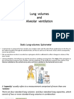 Lung Volumes Alveolar Ventilation