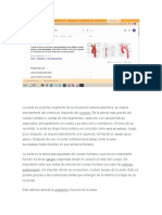 Documento Ruptura de Aorta Abdomnial