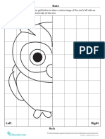 Learning Symmetry Owl