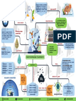 11 Environmental Chemistry