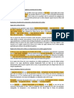 Conos Casi en Su Integridad. Es Una Estructura Especial Que Contribuye A La Detección de Detalles