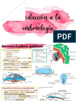 EMBRIOLOGÍA