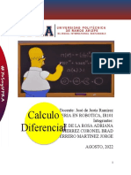 Proyecto Calculo Diferencial Universidad
