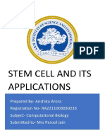 Sources of Stem Cells